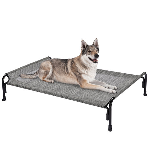 Tucker Murphy Pet™ Cooling Elevated Dog Bed, Outdoor Raised Dog Cots